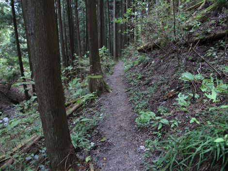 20151021hike (373)